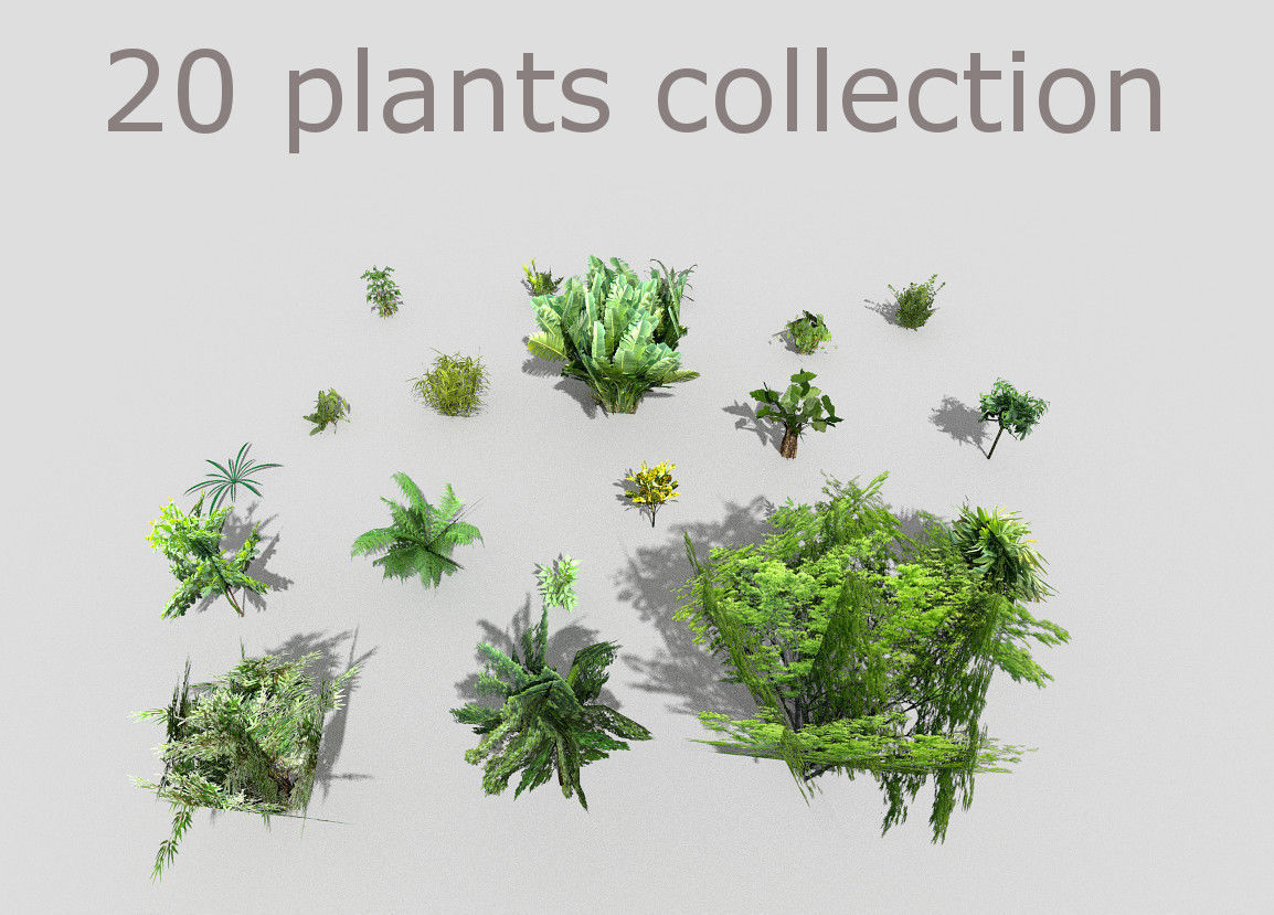 low poly plants collection tropical and trees Low-poly 3D model_1