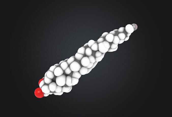 Sterol 3d model 3D model