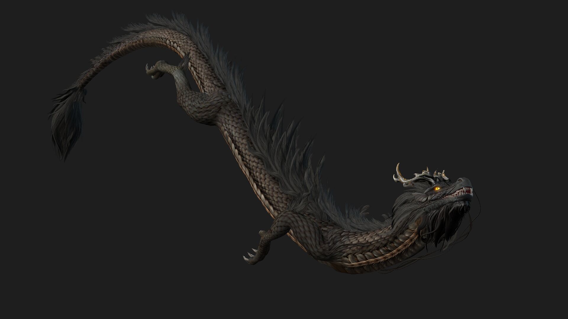 Dragon-C1 3D model_5