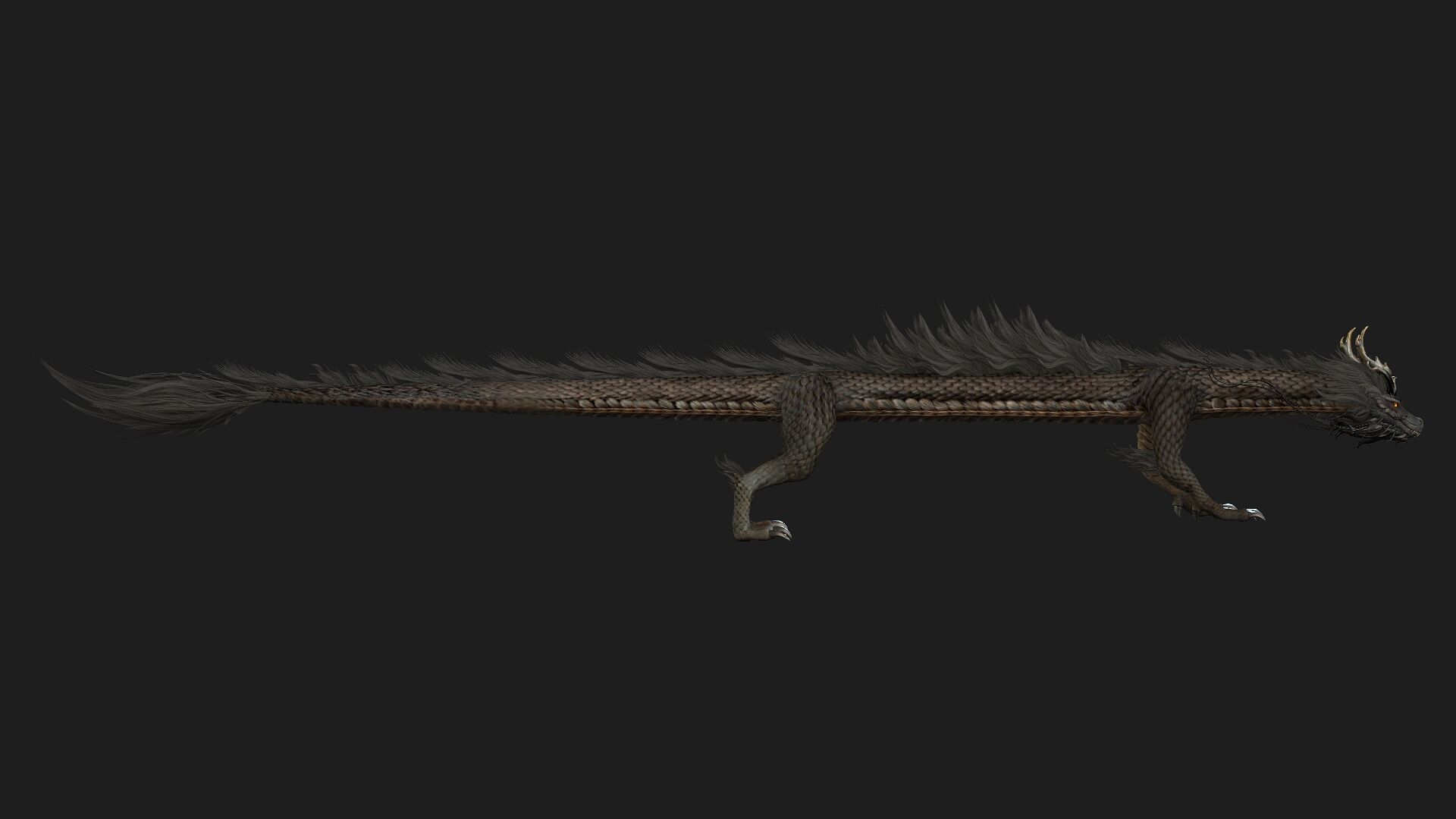 Dragon-C1 3D model_4