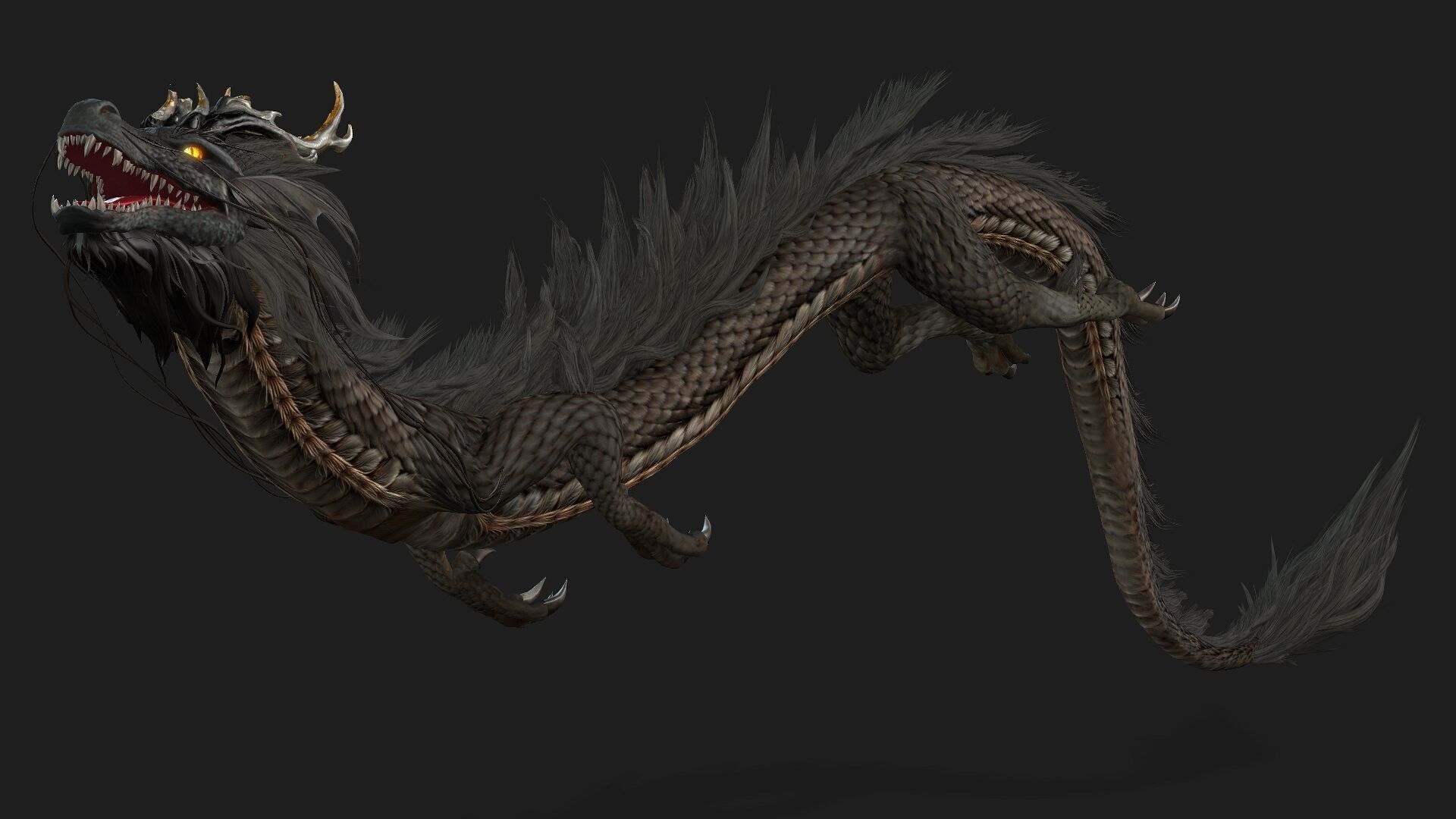 Dragon-C1 3D model_13