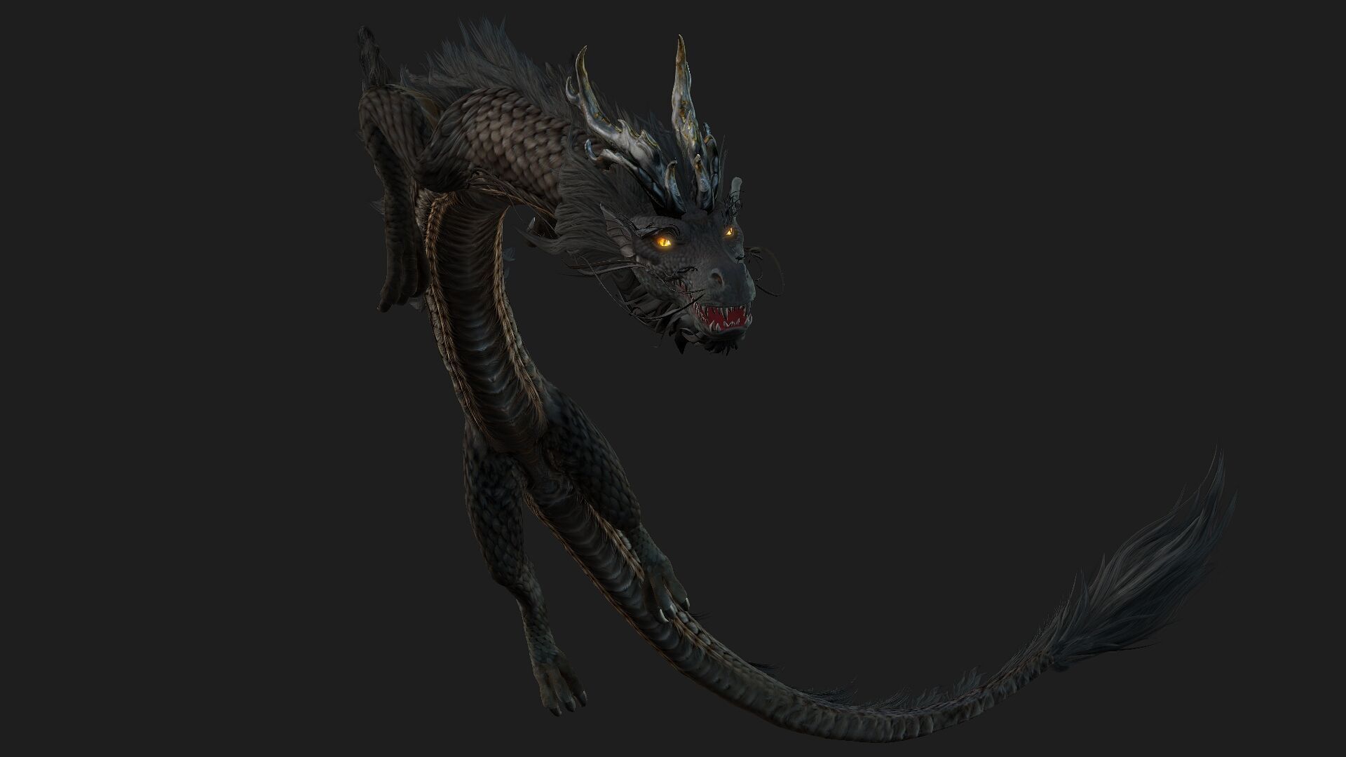 Dragon-C1 3D model_6