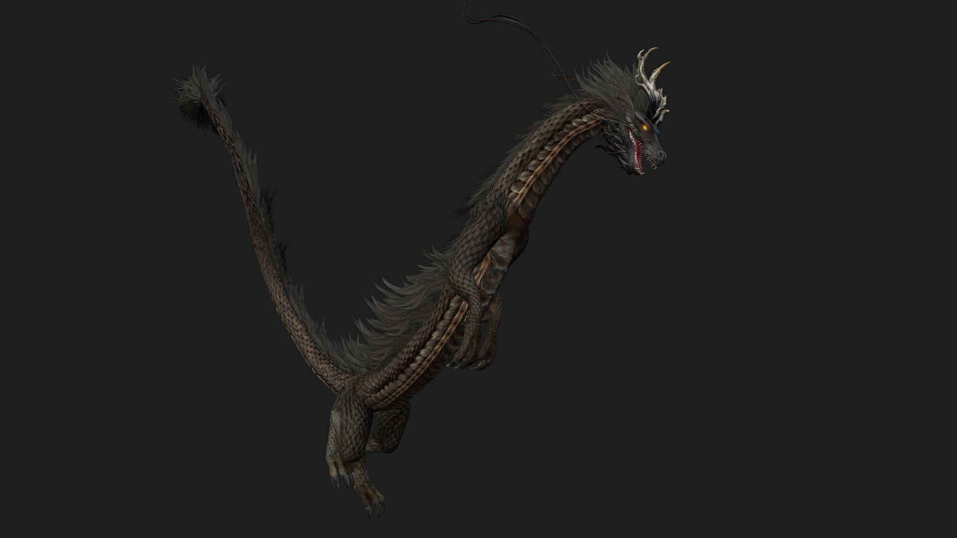 Dragon-C1 3D model_9
