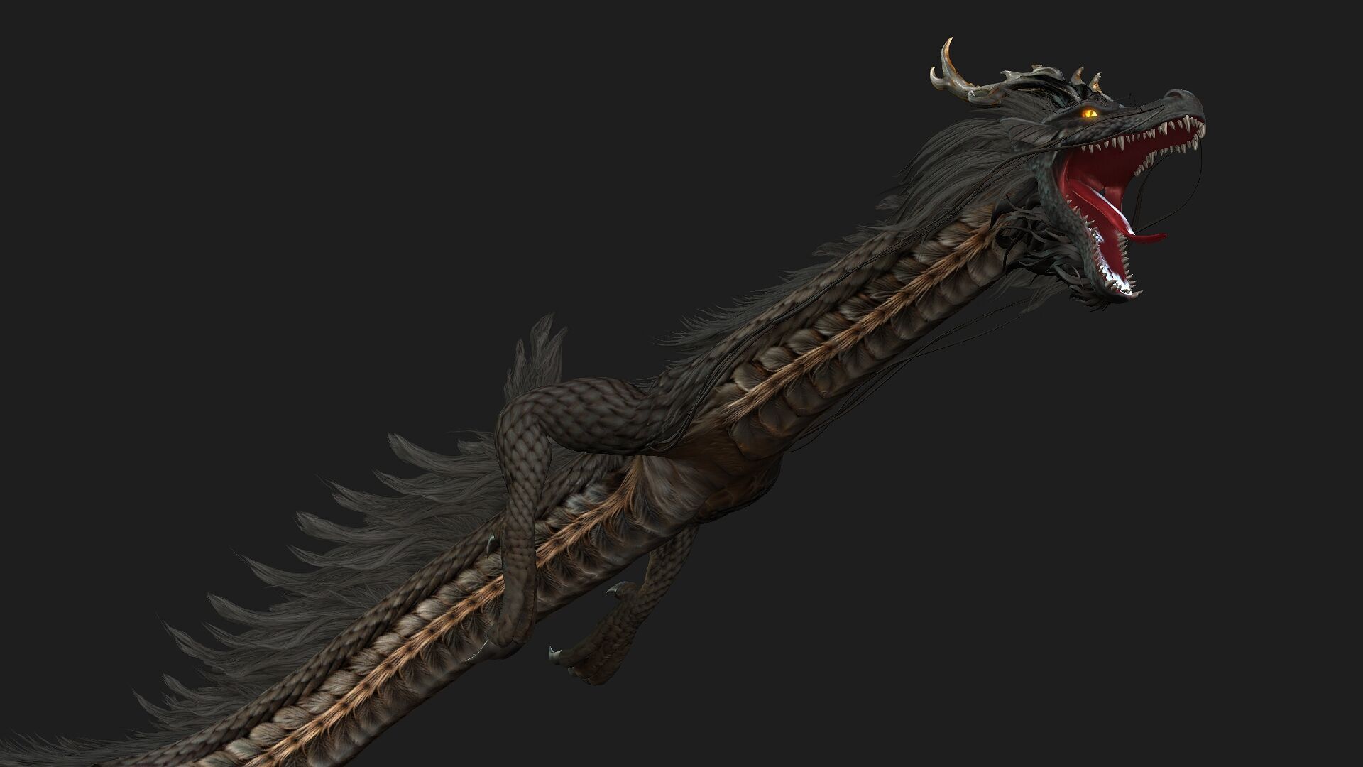 Dragon-C1 3D model_8