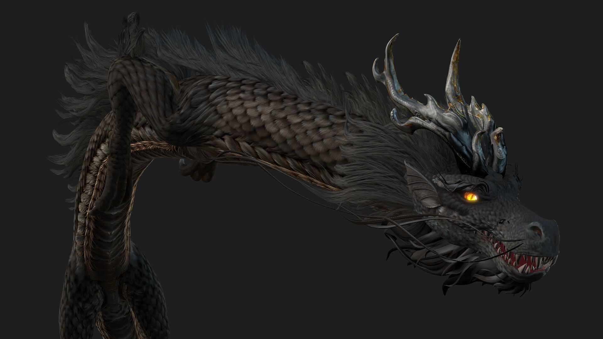 Dragon-C1 3D model_17