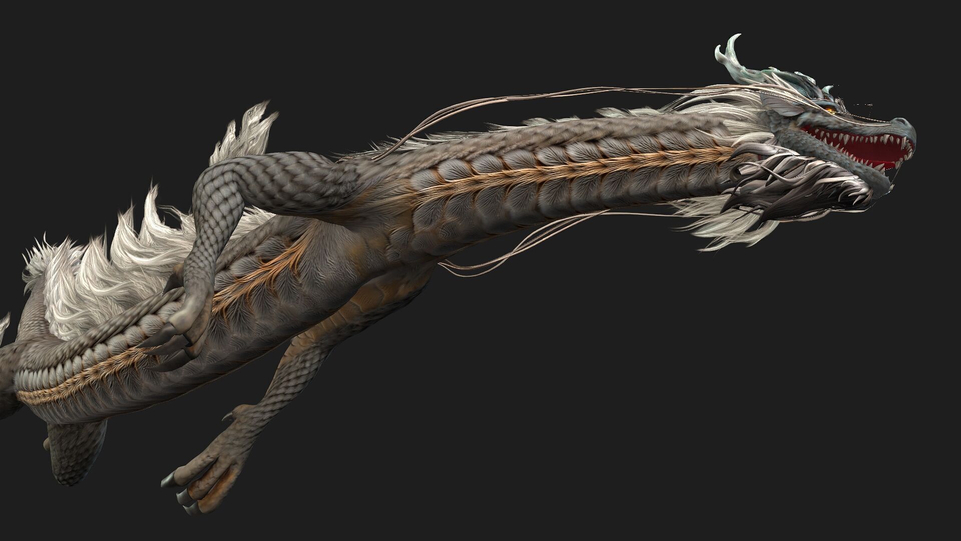 Dragon-C2 3D model_11