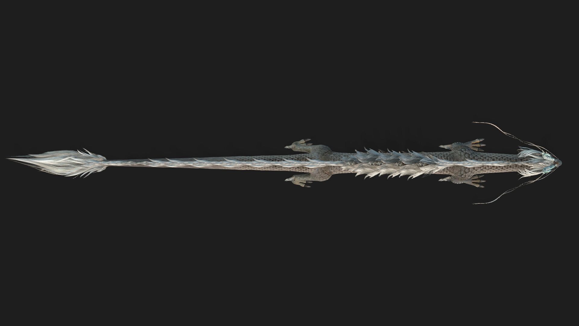 Dragon-C2 3D model_5