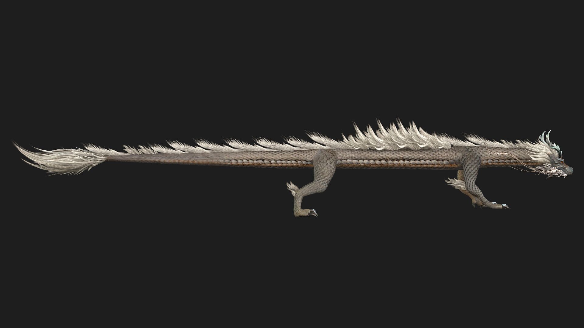 Dragon-C2 3D model_9