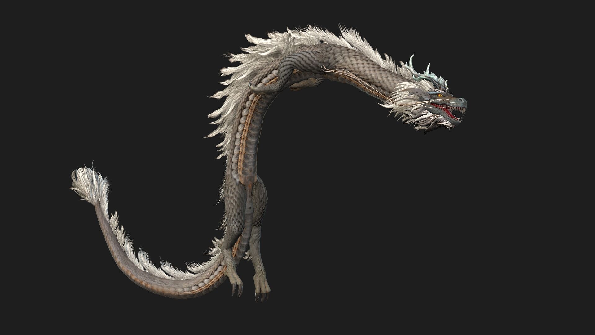 Dragon-C2 3D model_10