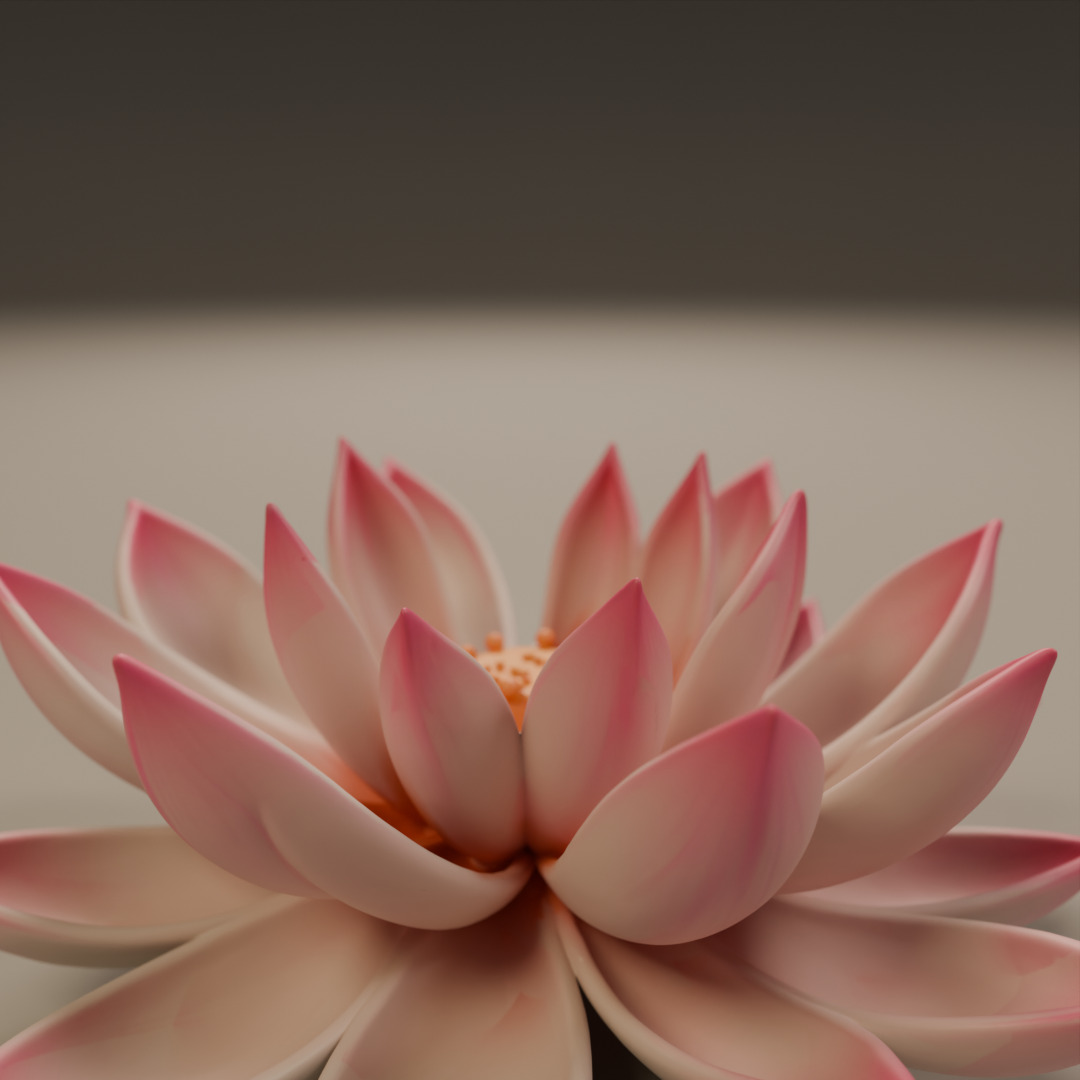 lotus flower 3D print model_16