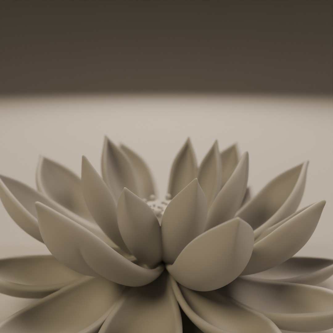 lotus flower 3D print model_7