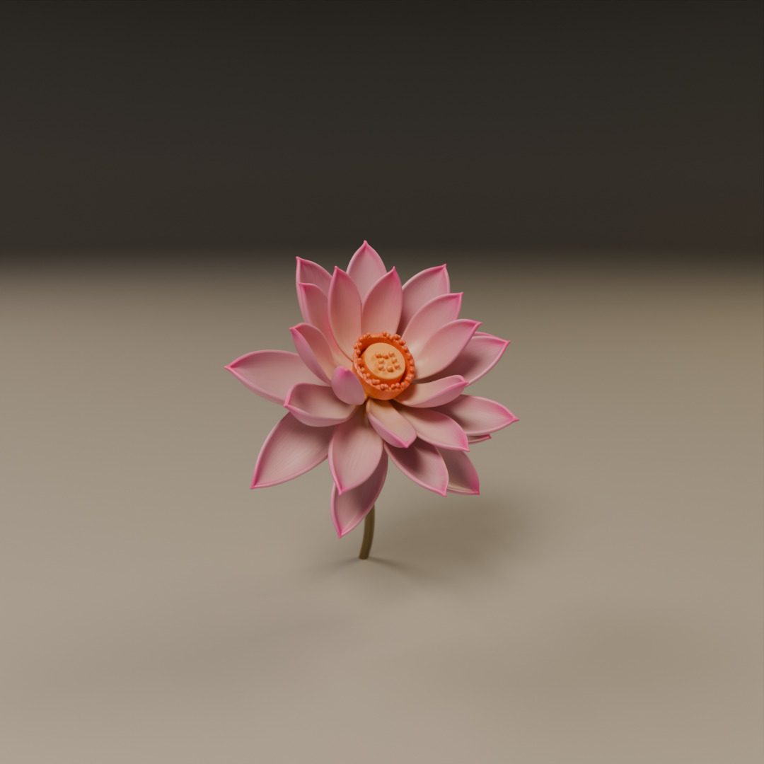 lotus flower 3D print model_8