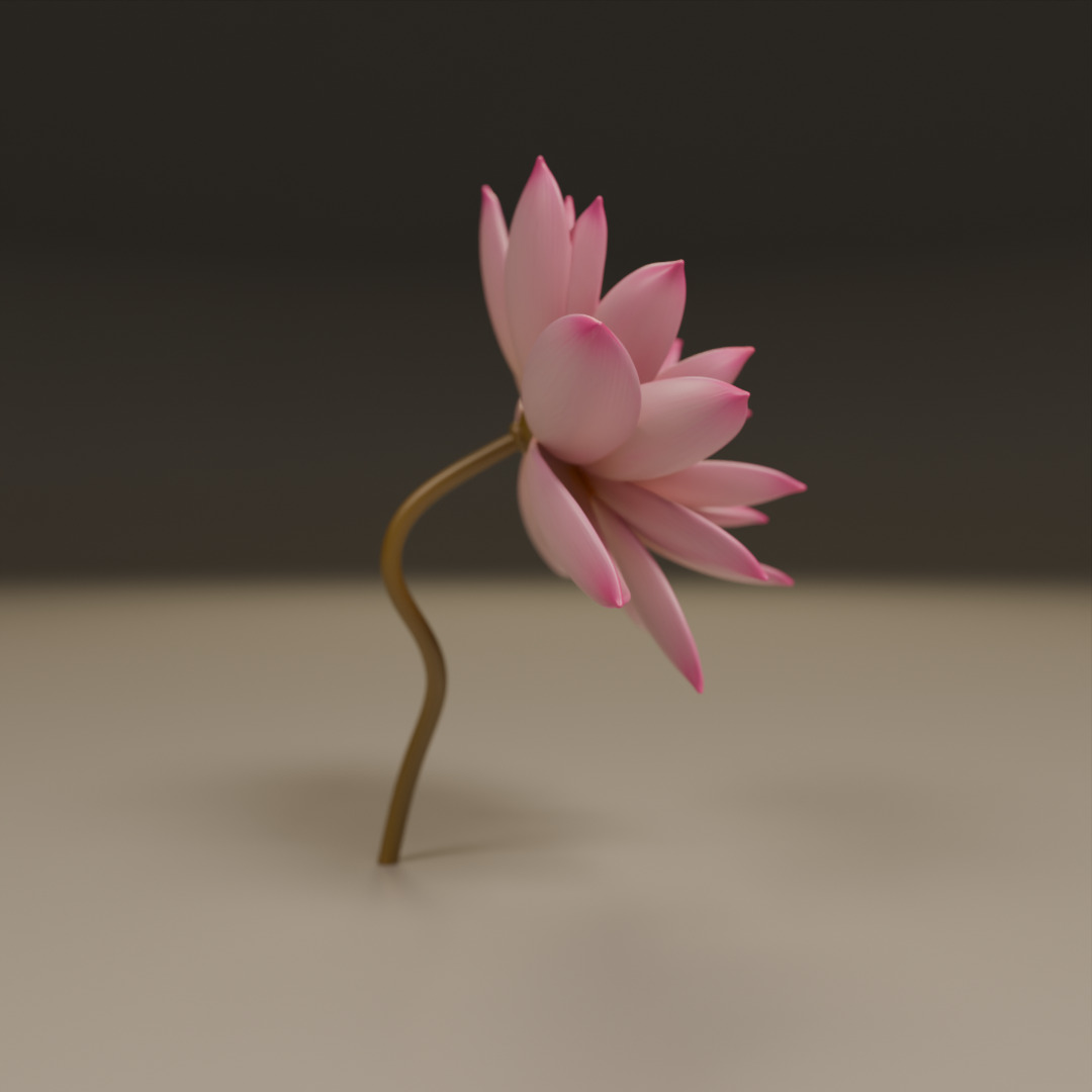 lotus flower 3D print model_1