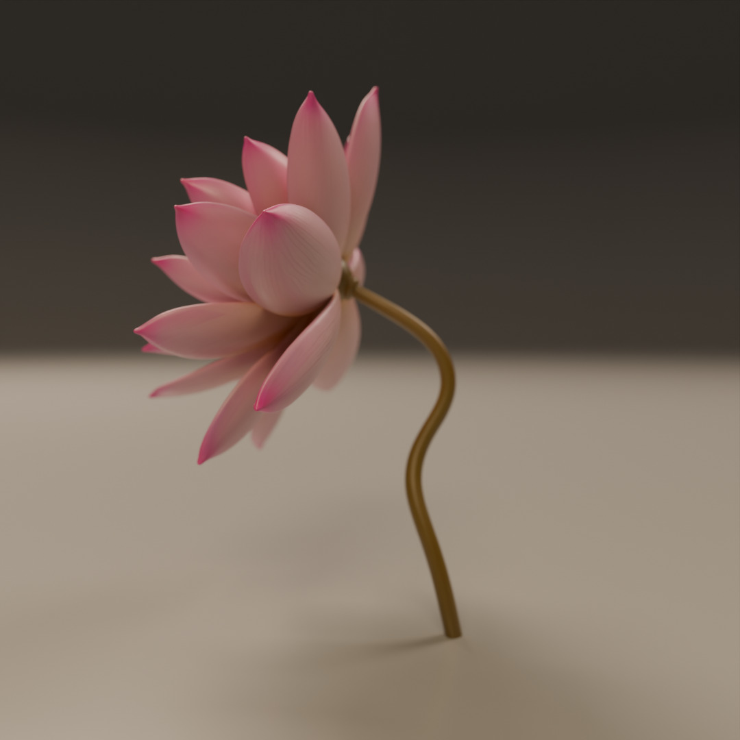 lotus flower 3D print model_2