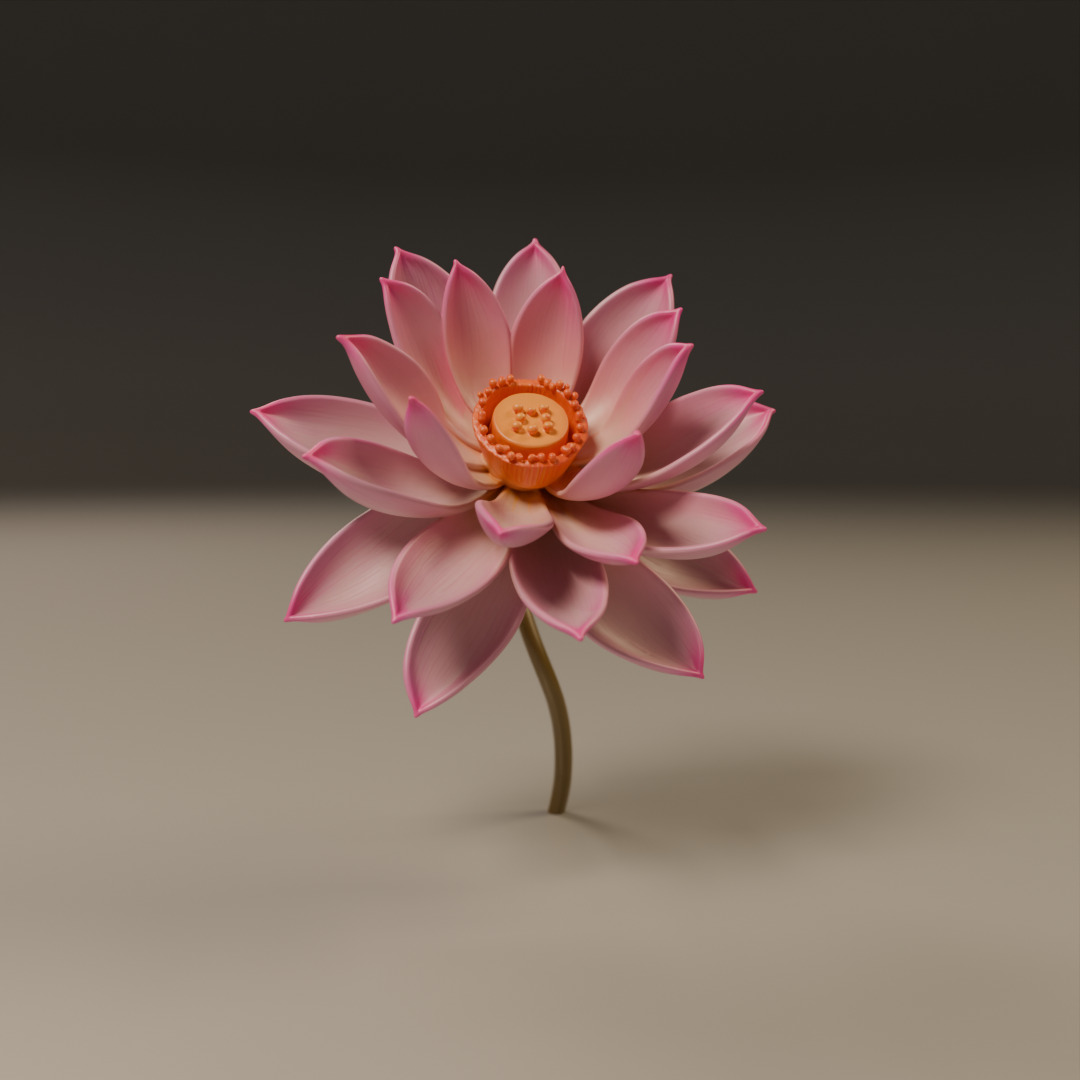lotus flower 3D print model_9
