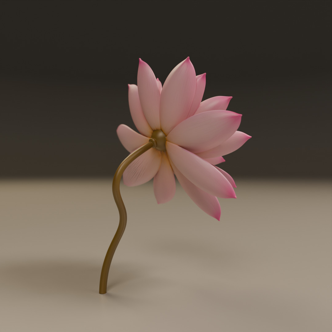 lotus flower 3D print model_6