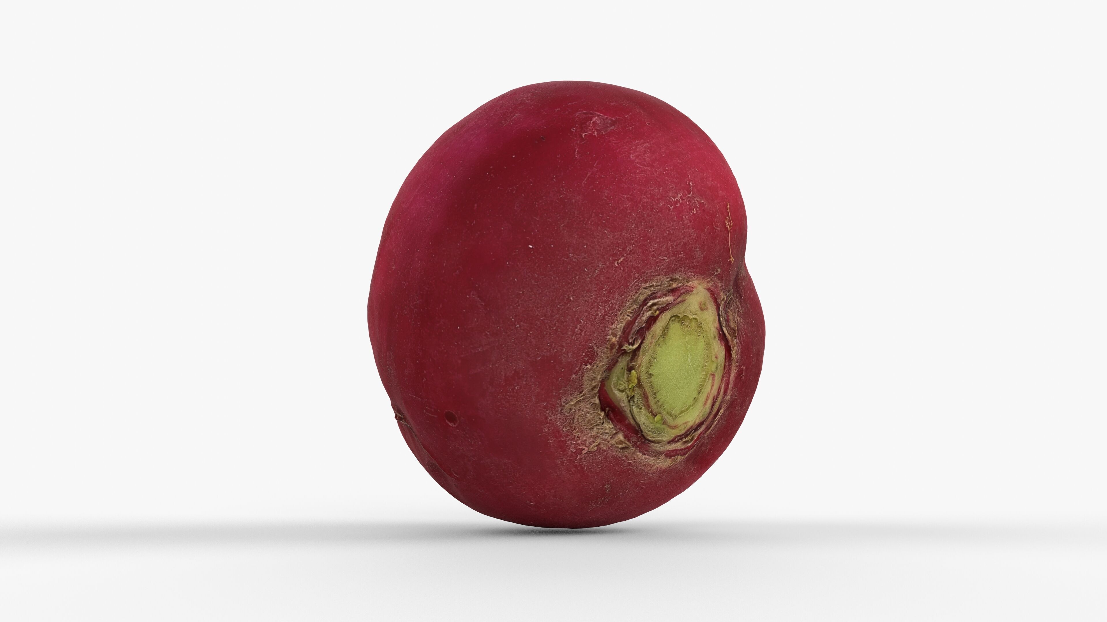 Red Radish - Whole Root Vegetable Scan Low-poly 3D model_13