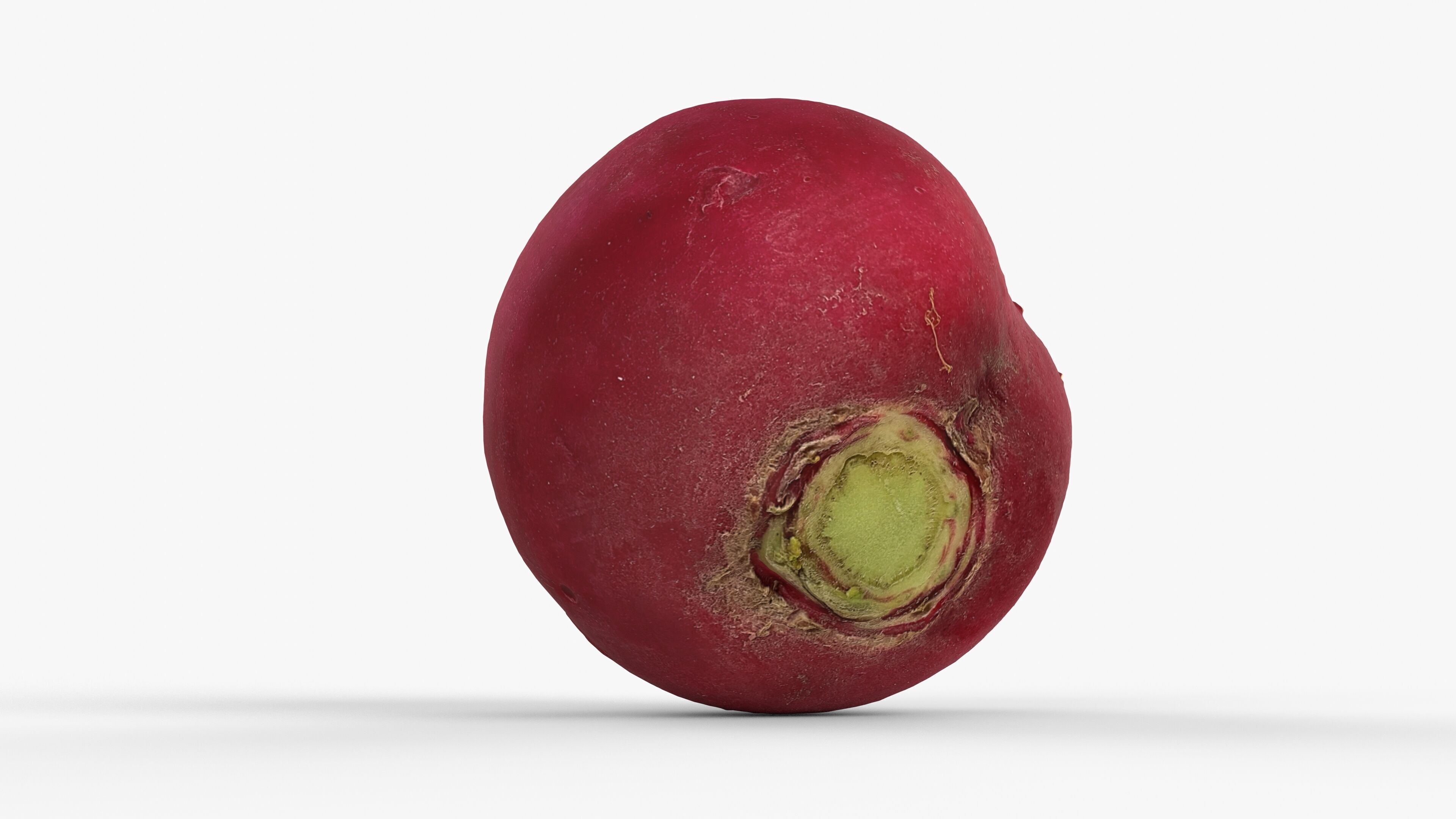 Red Radish - Whole Root Vegetable Scan Low-poly 3D model_2