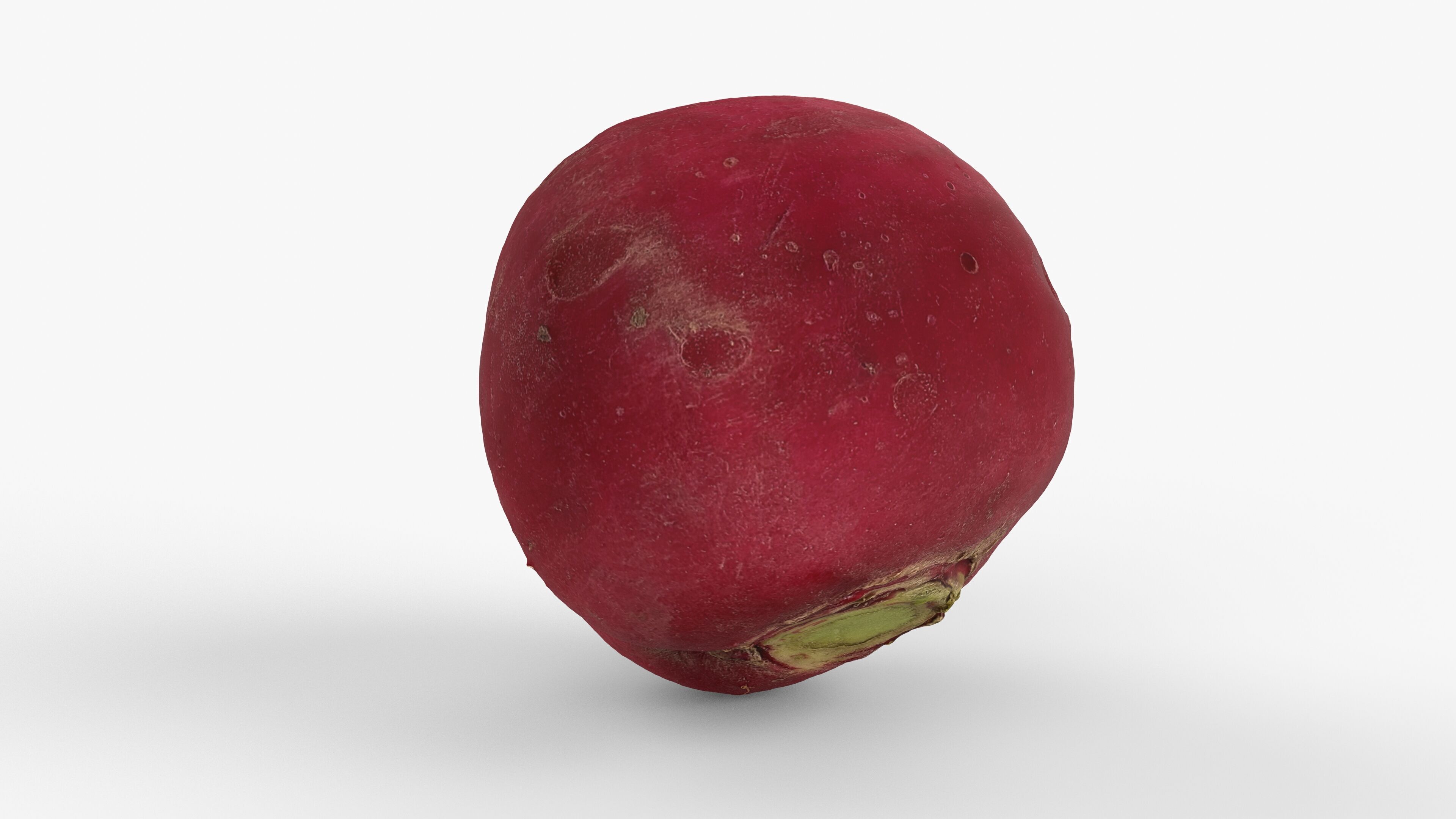 Red Radish - Whole Root Vegetable Scan Low-poly 3D model_12