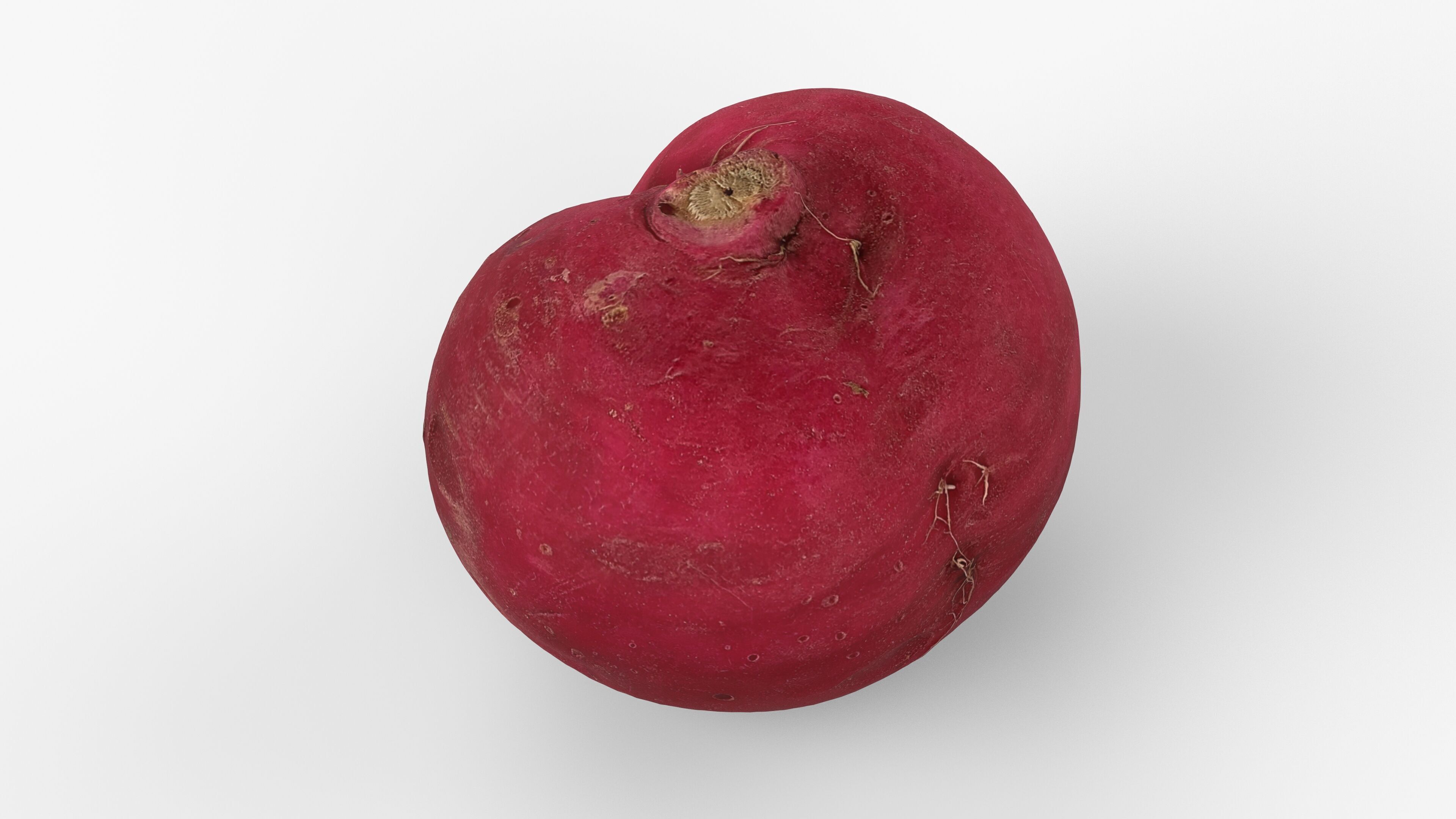 Red Radish - Whole Root Vegetable Scan Low-poly 3D model_14