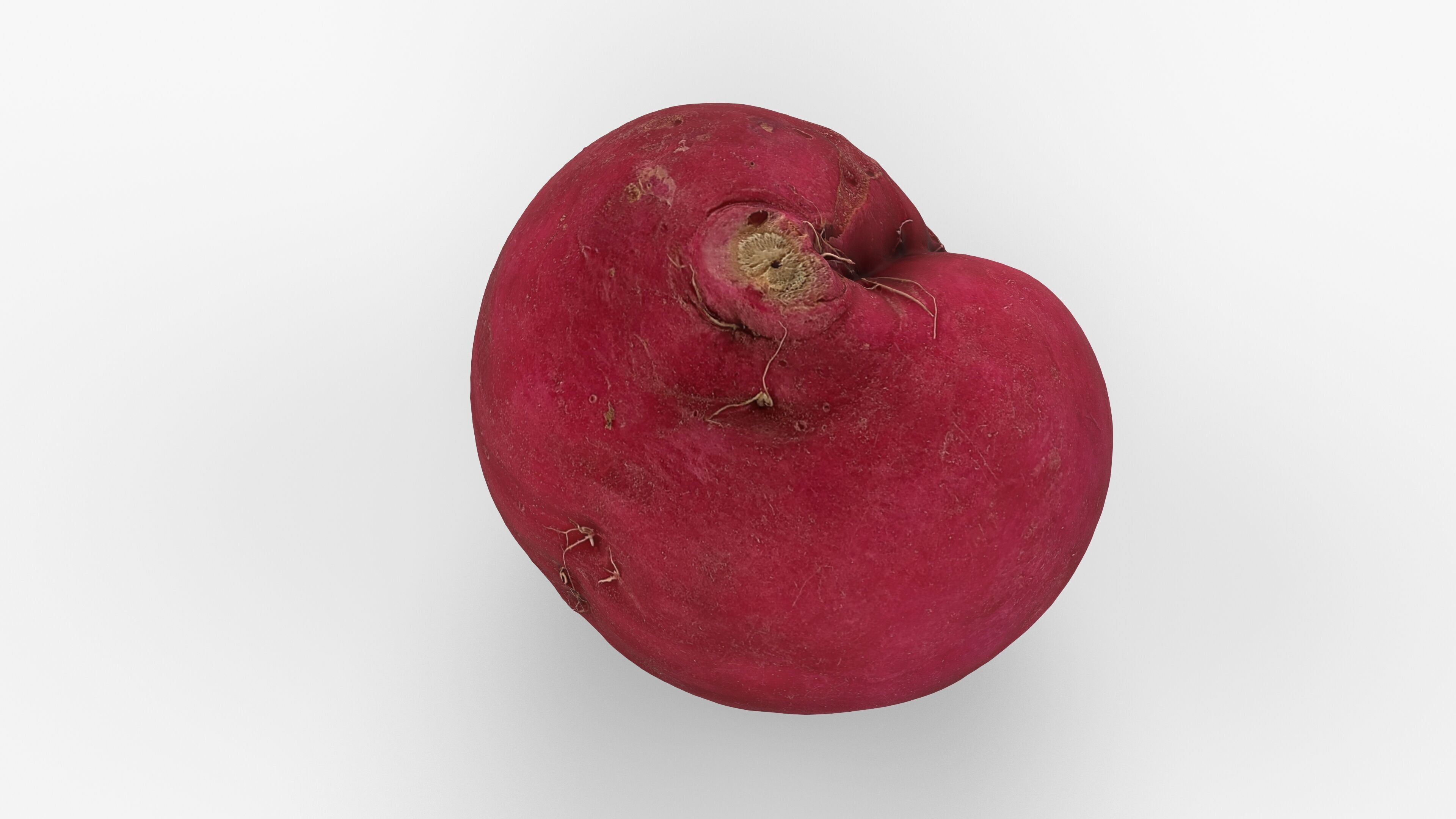 Red Radish - Whole Root Vegetable Scan Low-poly 3D model_7