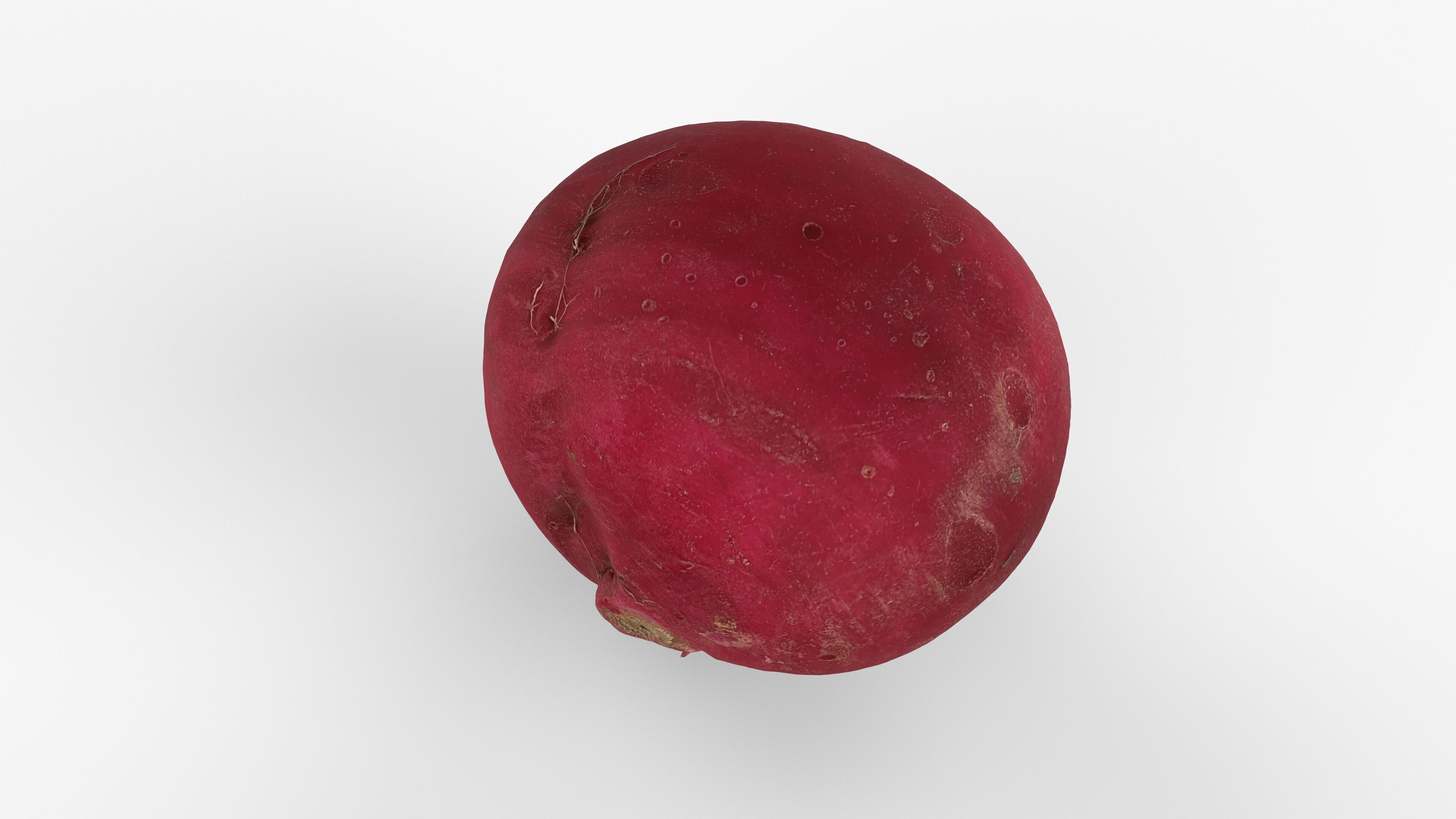 Red Radish - Whole Root Vegetable Scan Low-poly 3D model_15