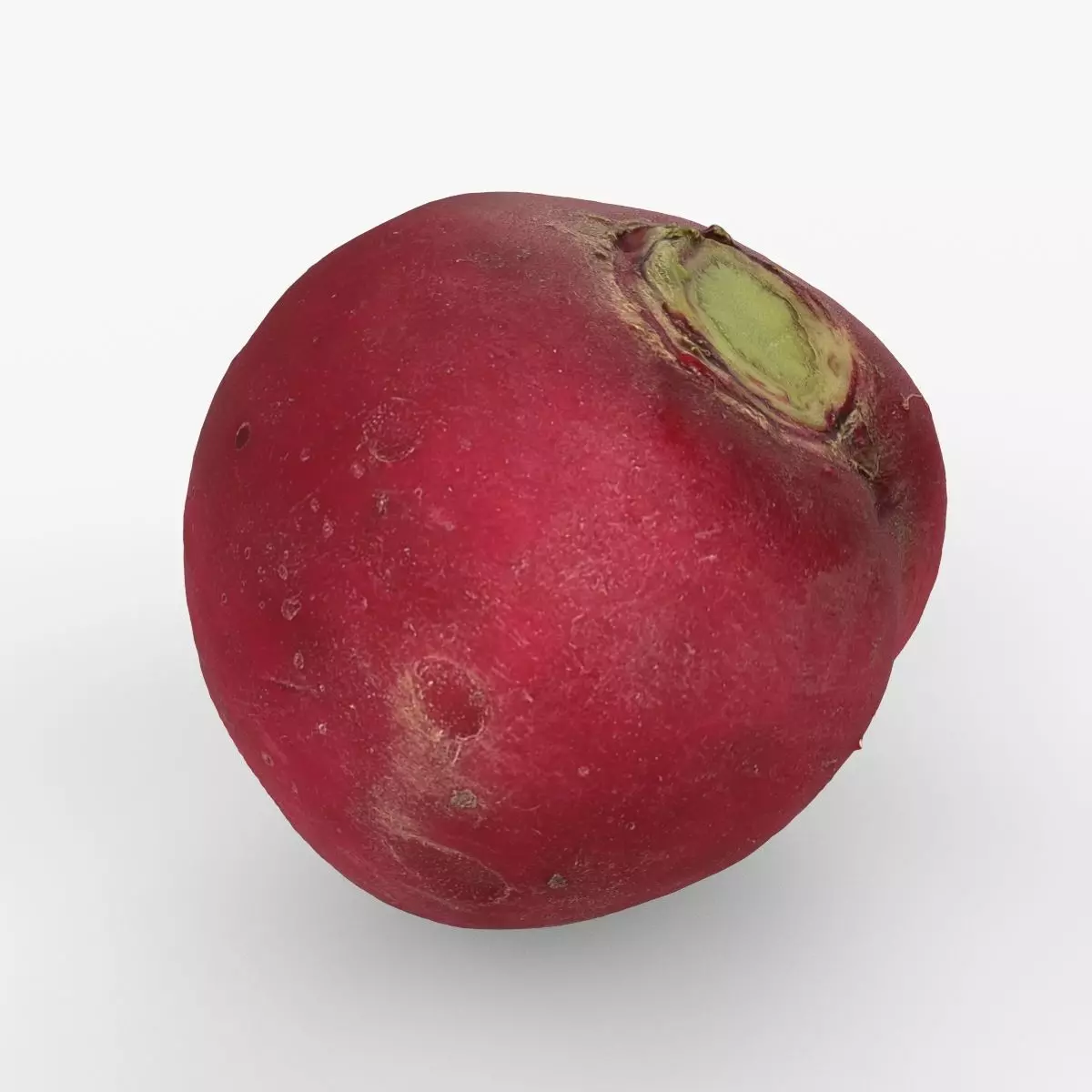Red Radish - Whole Root Vegetable Scan Low-poly 3D model_0