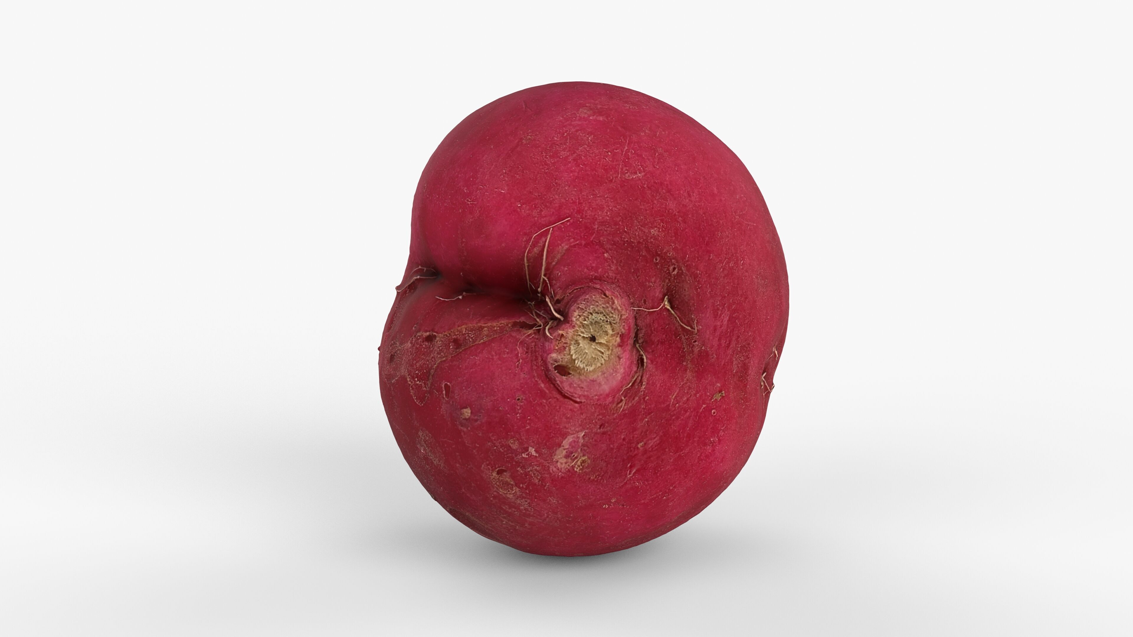 Red Radish - Whole Root Vegetable Scan Low-poly 3D model_9