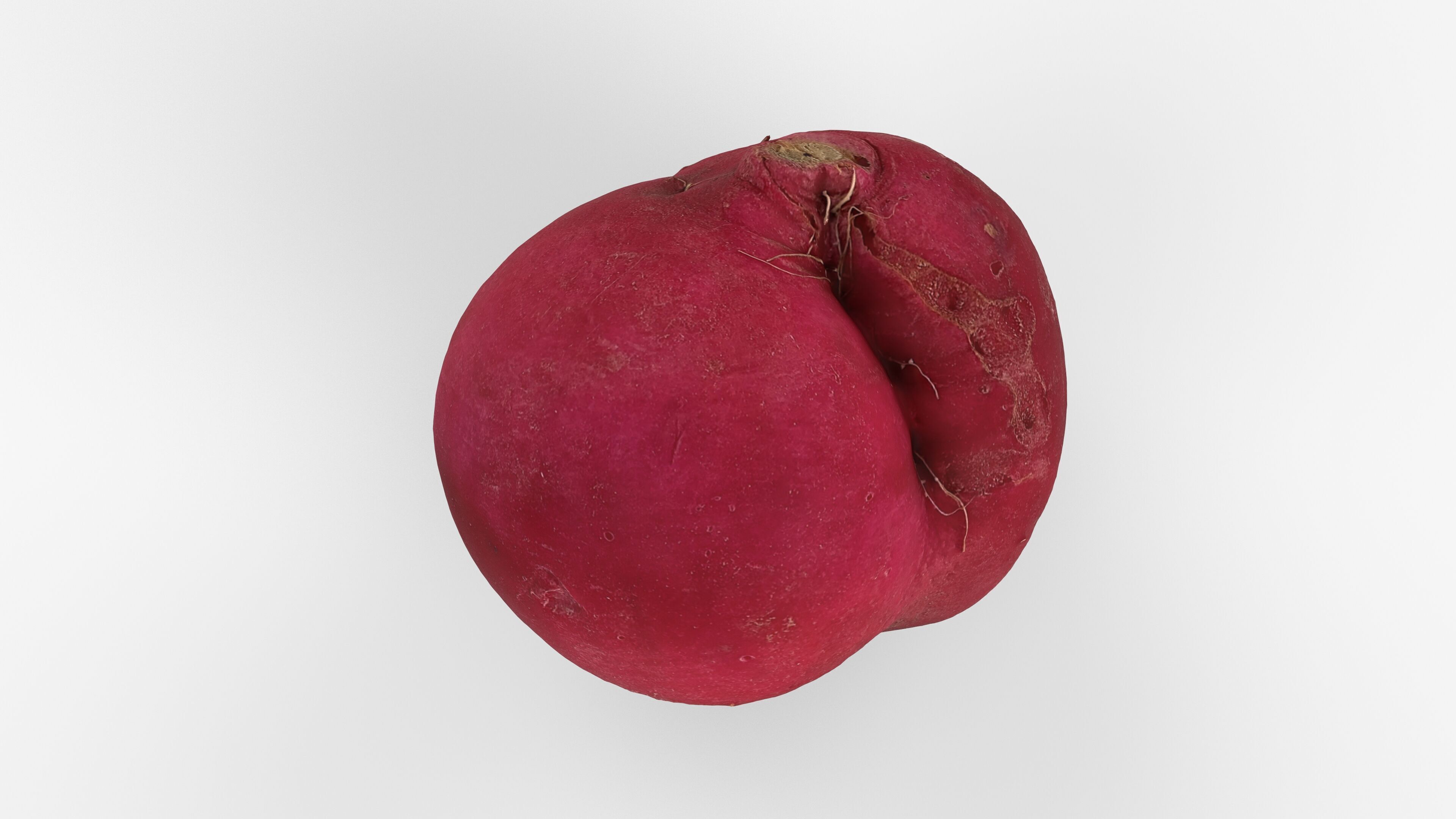 Red Radish - Whole Root Vegetable Scan Low-poly 3D model_10