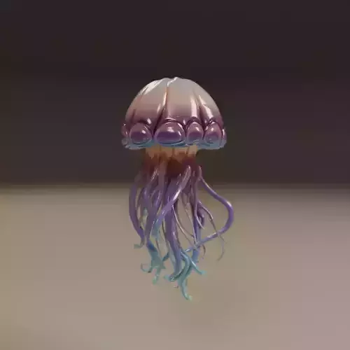 jellyfish 