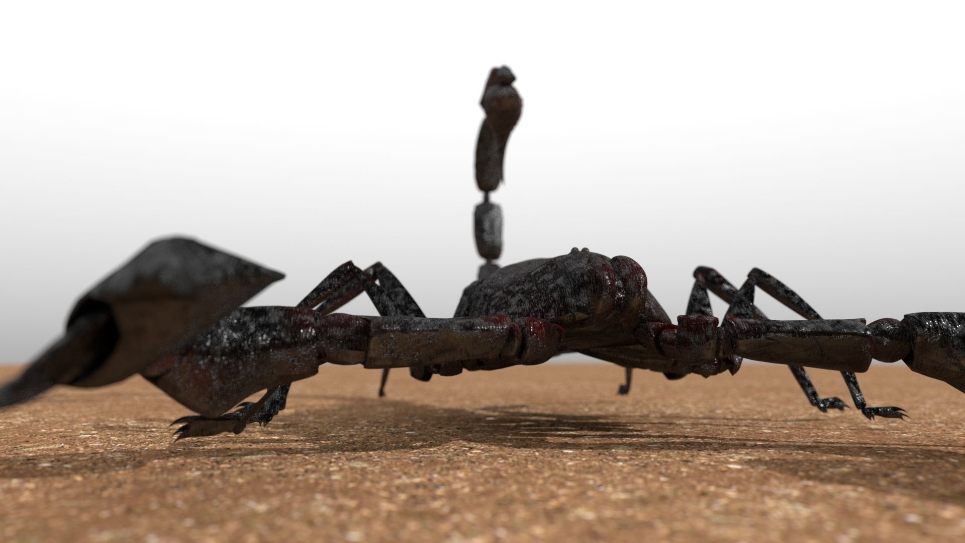 A highly detailed and UV textured 3d model of a scorpion 3D model_5