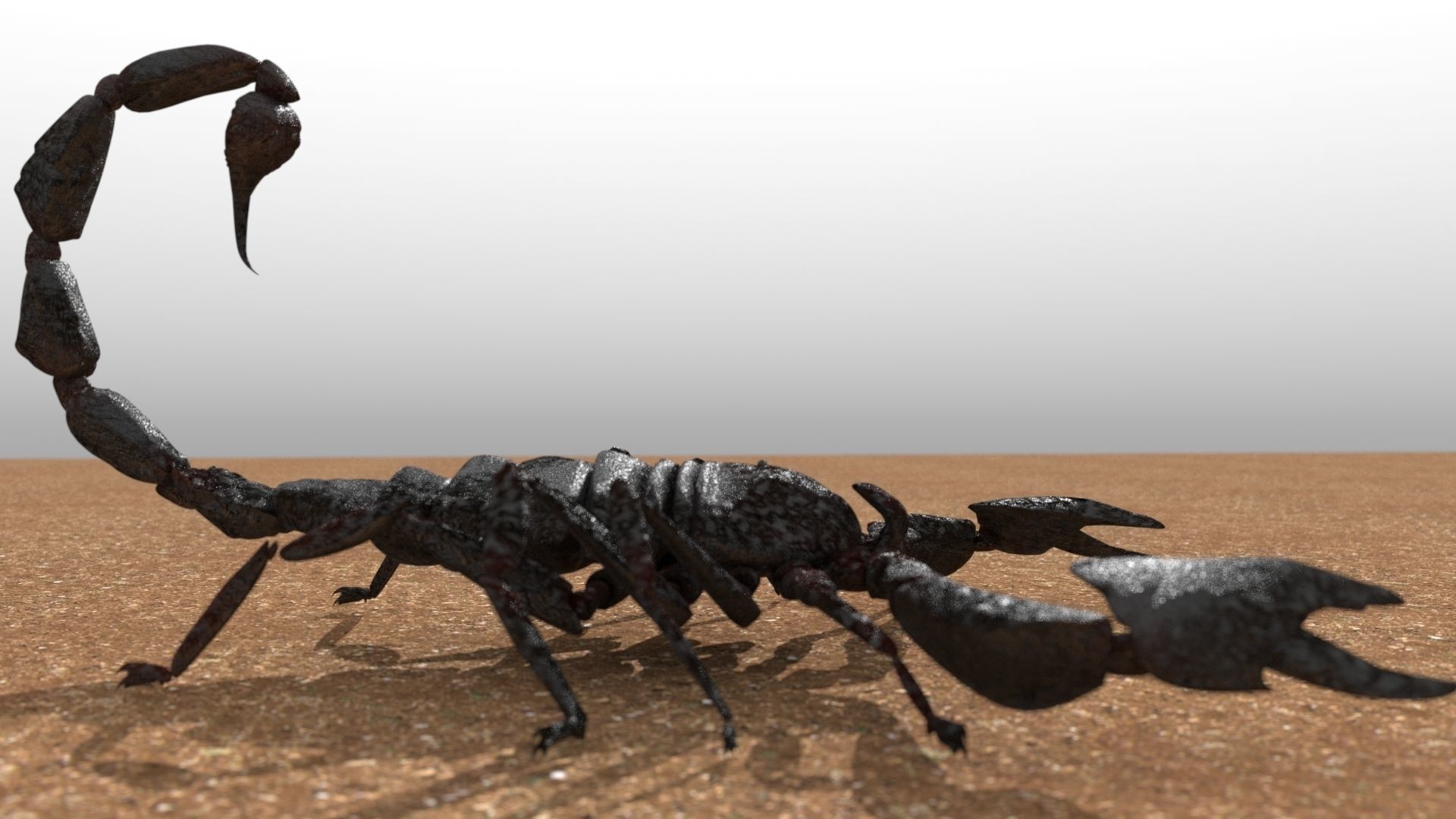 A highly detailed and UV textured 3d model of a scorpion 3D model_3