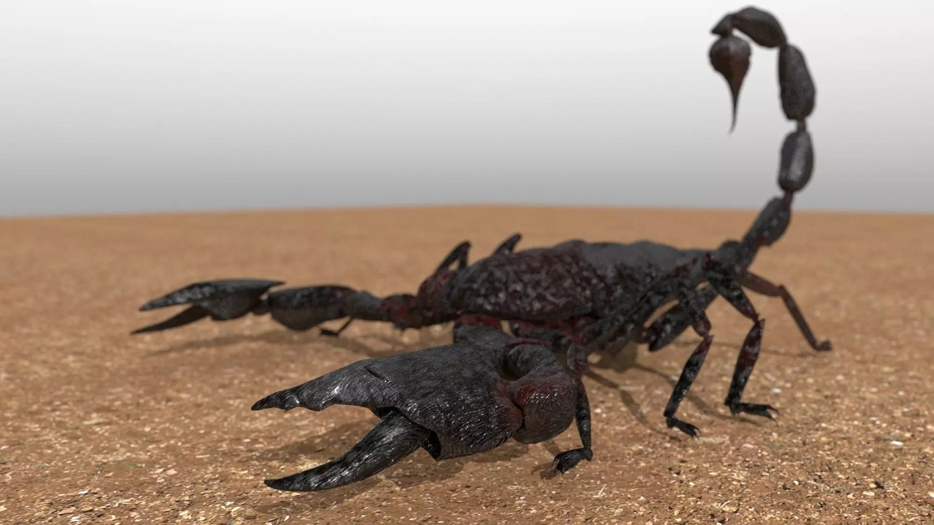 A highly detailed and UV textured 3d model of a scorpion 3D model_0