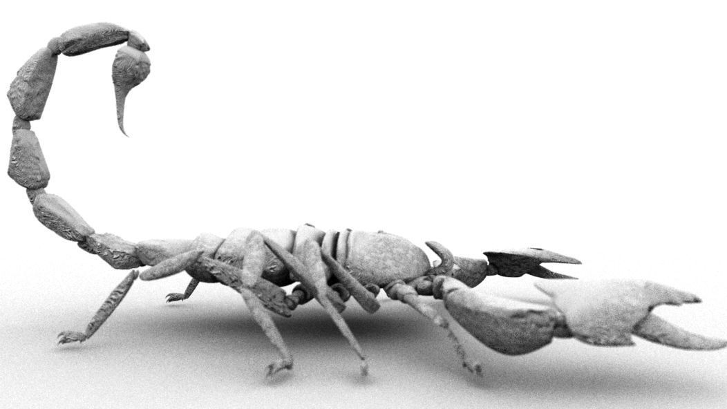 A highly detailed and UV textured 3d model of a scorpion 3D model_7