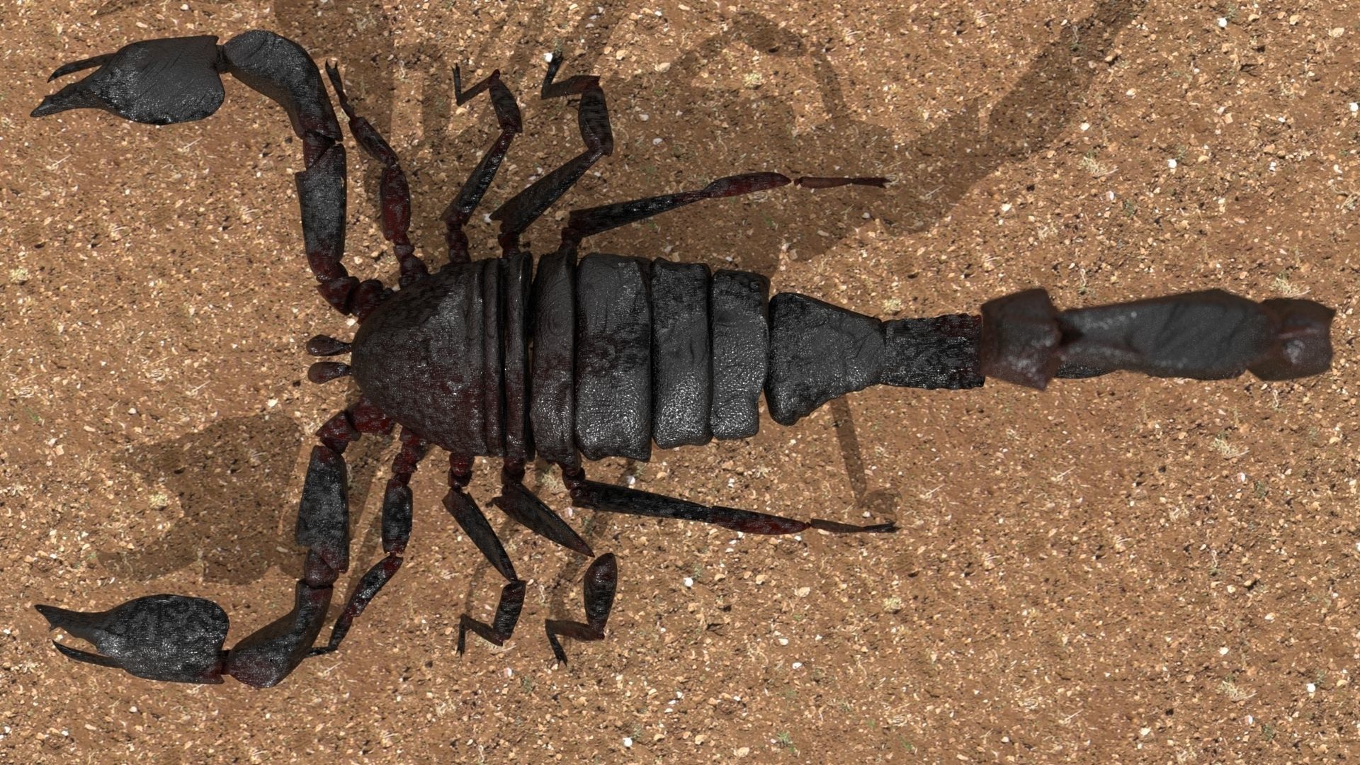A highly detailed and UV textured 3d model of a scorpion 3D model_1