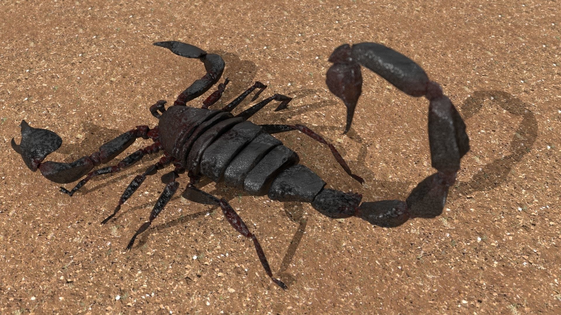 A highly detailed and UV textured 3d model of a scorpion 3D model_2