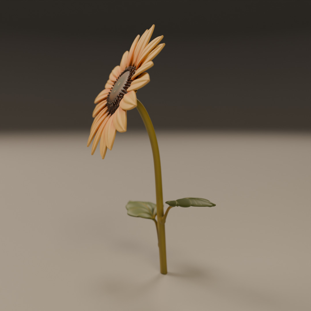 sunflower 3D print model_14
