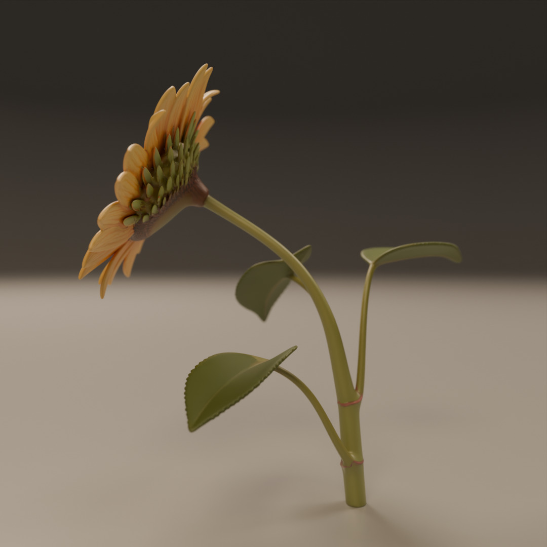 sunflower 3D print model_11