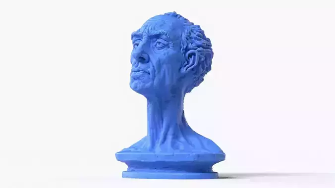 Practice Bust Sculpture