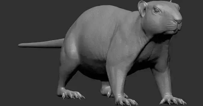 VFX Ready marmot 3d model