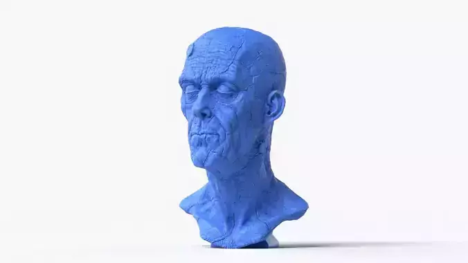 Frankenstein Bust