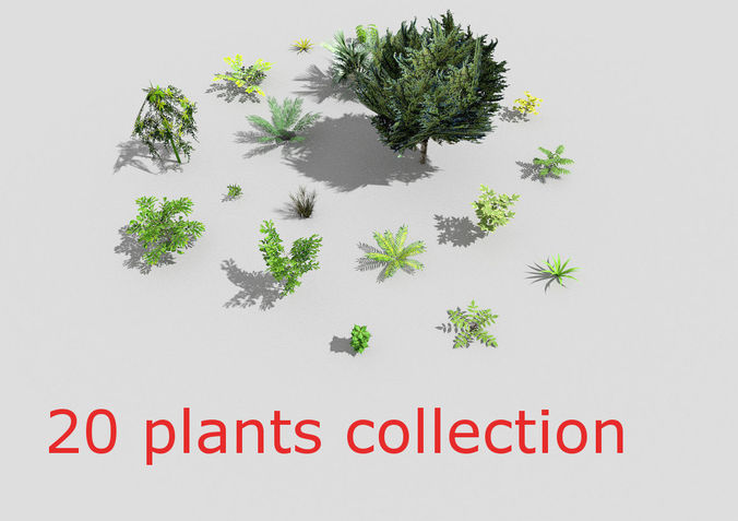low poly plants collection in circle Low-poly 3D model