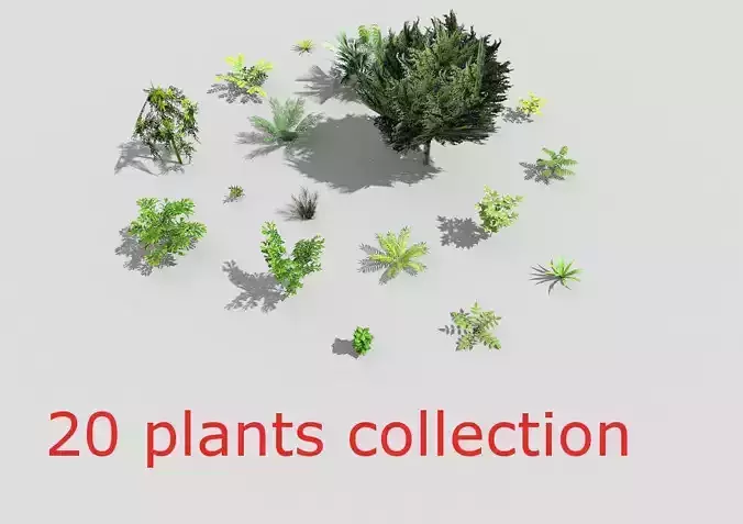 low poly plants collection in circle
