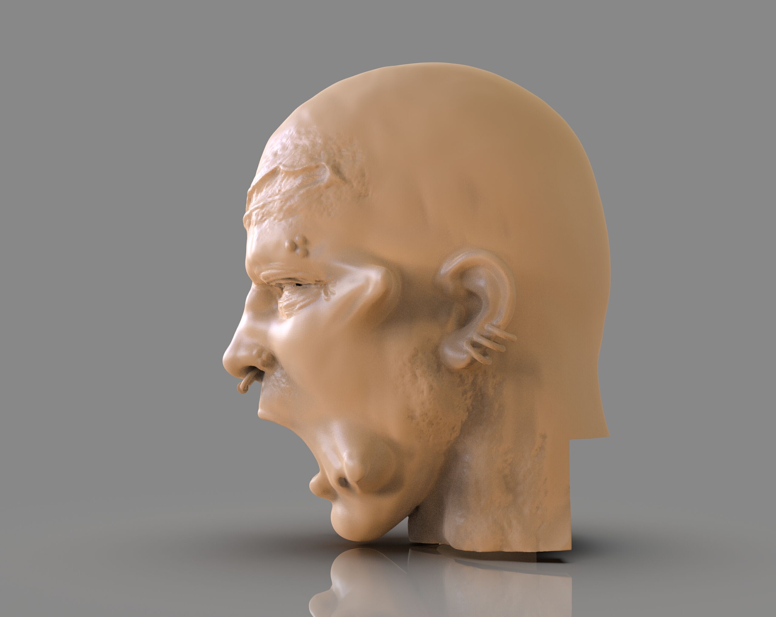 Prisioner Tortured Head 3D print model_2