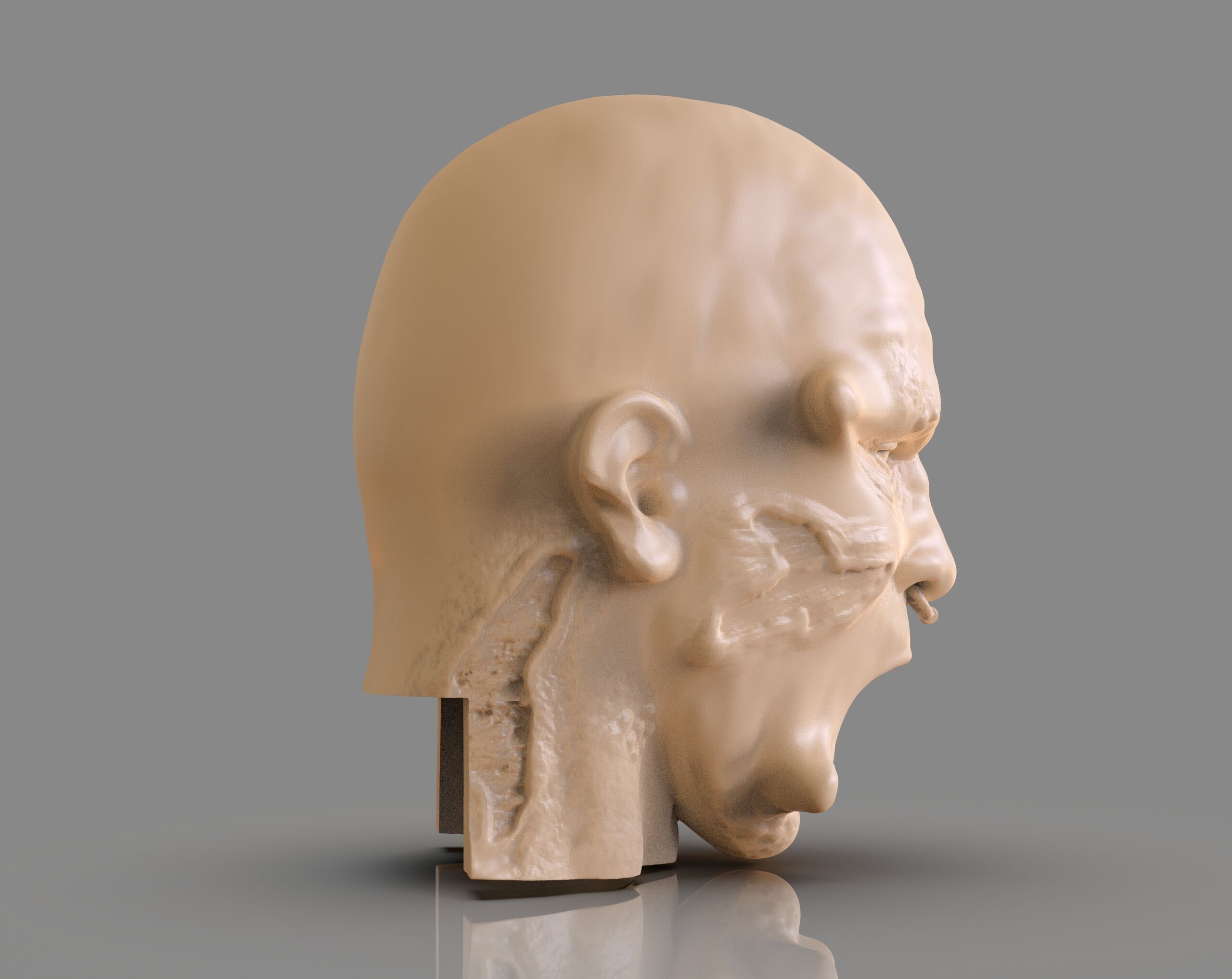 Prisioner Tortured Head 3D print model_5