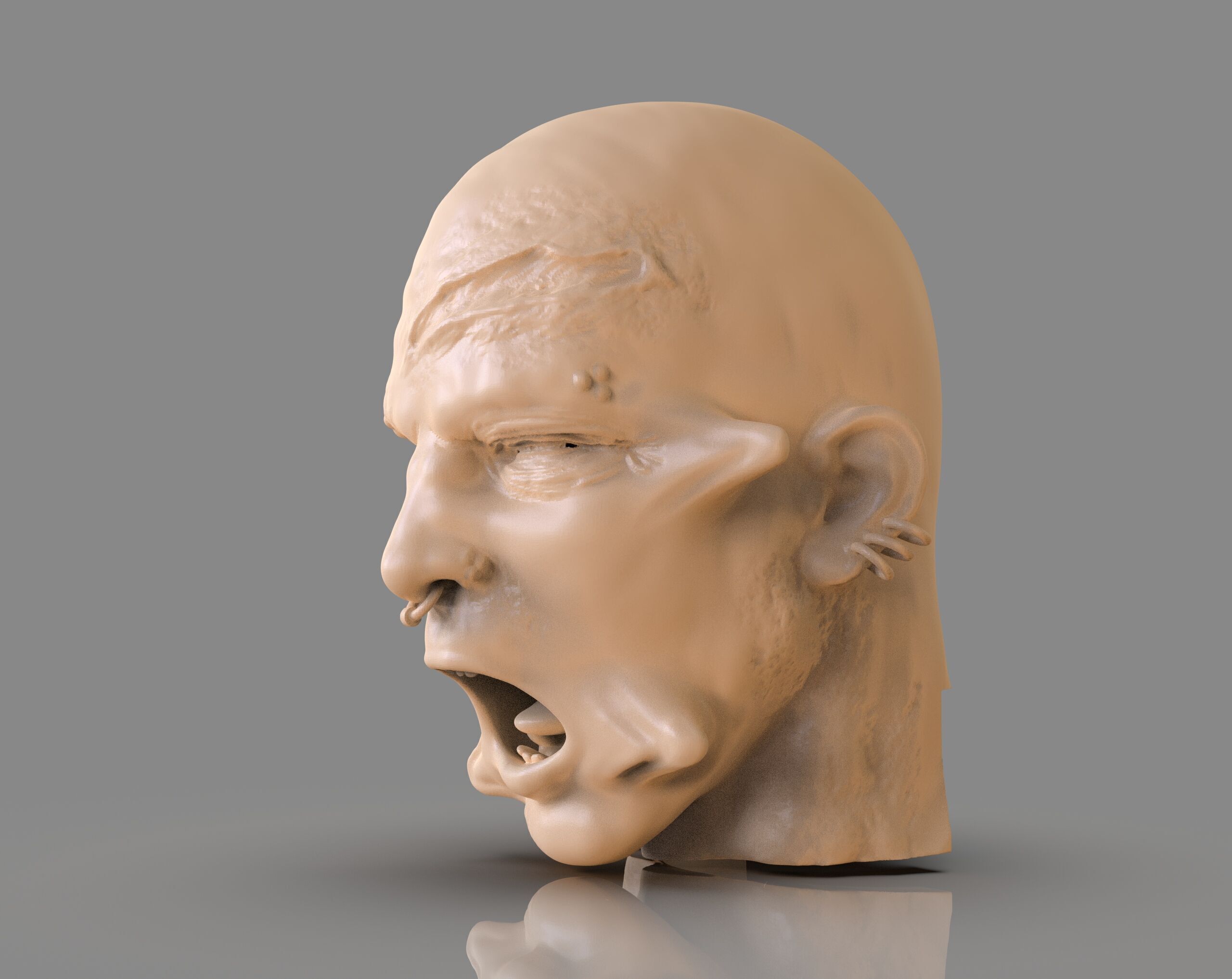 Prisioner Tortured Head 3D print model_1