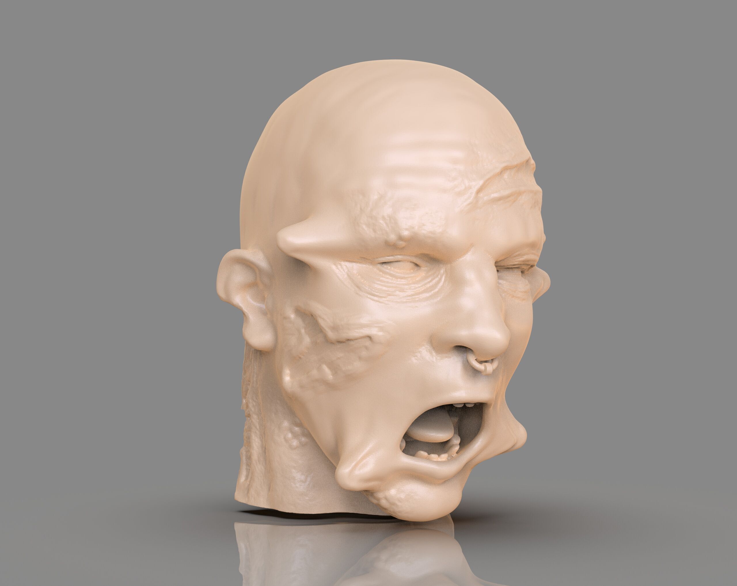 Prisioner Tortured Head 3D print model_6
