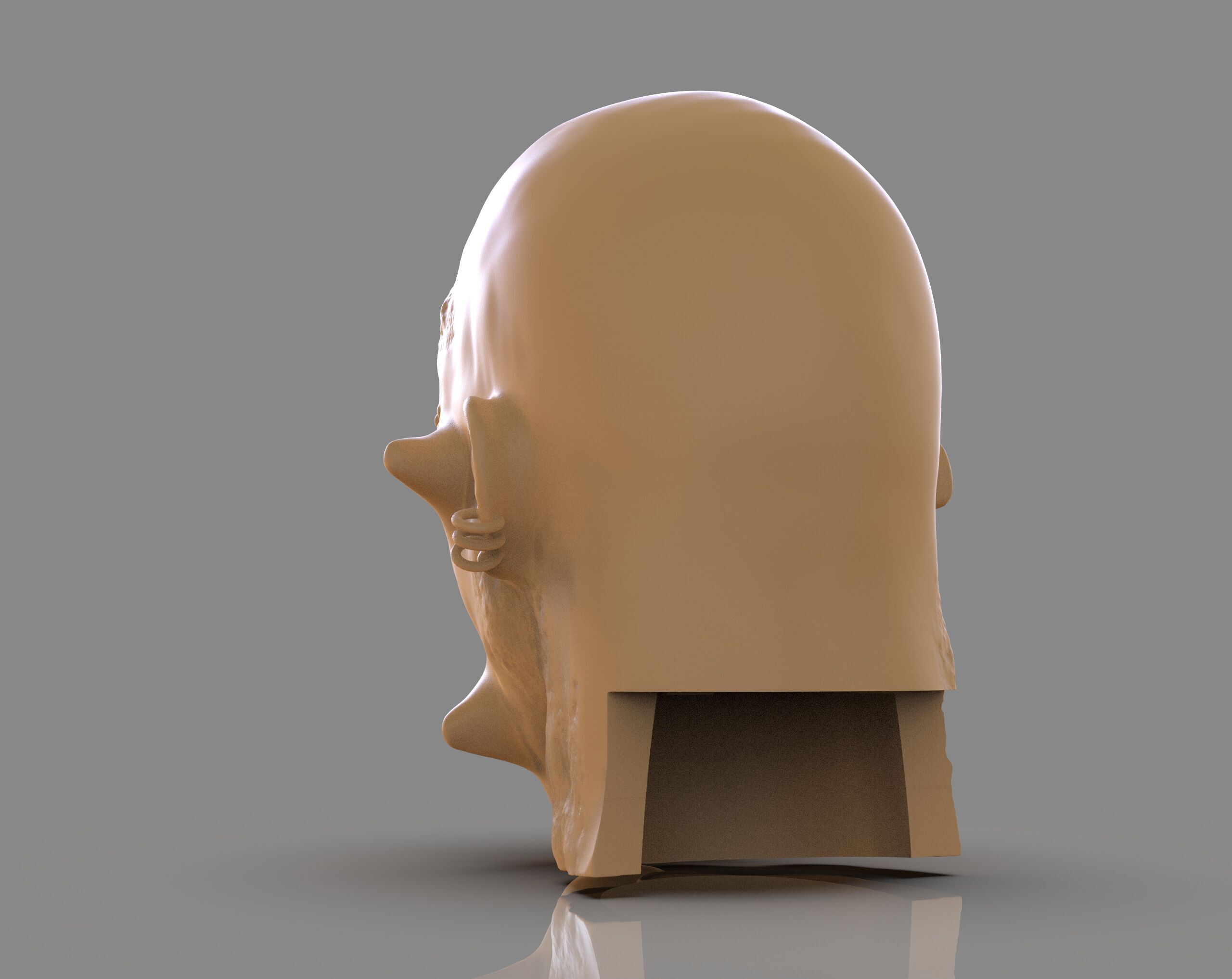 Prisioner Tortured Head 3D print model_3