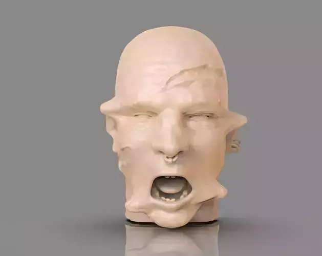 Prisioner Tortured Head