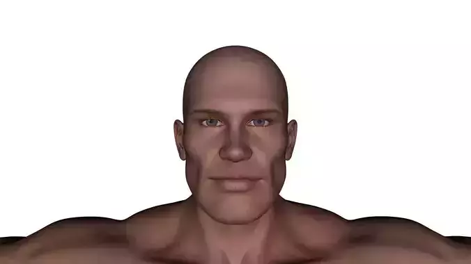 Realistic Alpha Male - Rigged Low-poly 3D model
